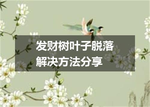 发财树叶子脱落解决方法分享