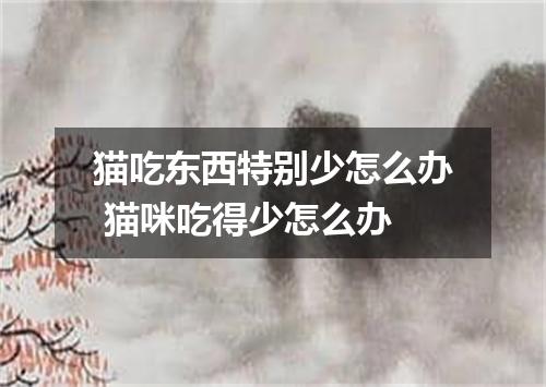 猫吃东西特别少怎么办 猫咪吃得少怎么办