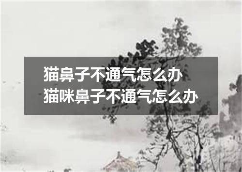 猫鼻子不通气怎么办 猫咪鼻子不通气怎么办