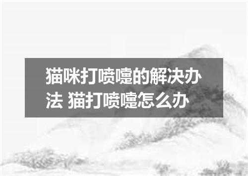 猫咪打喷嚏的解决办法 猫打喷嚏怎么办