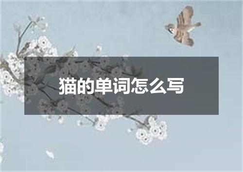 猫的单词怎么写