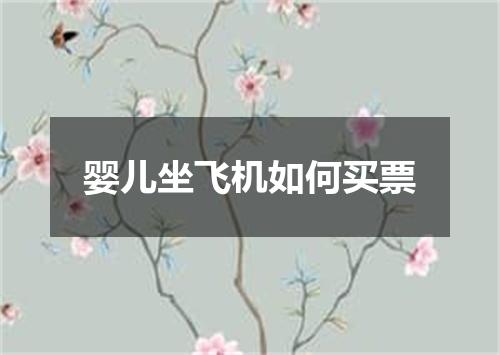 婴儿坐飞机如何买票