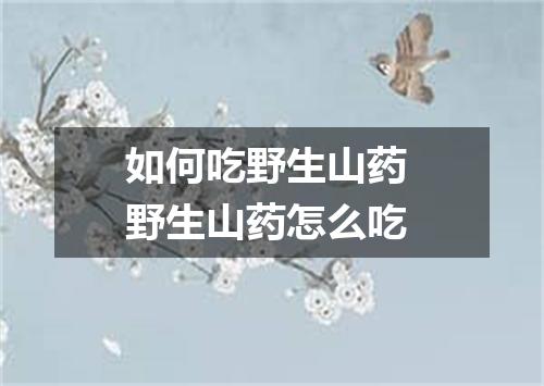 如何吃野生山药 野生山药怎么吃