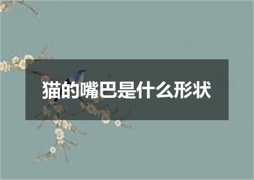 猫的嘴巴是什么形状