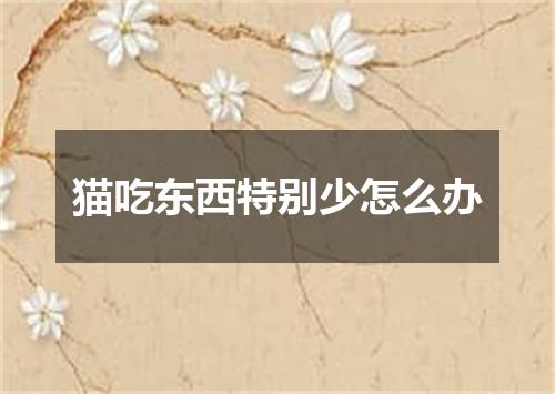 猫吃东西特别少怎么办