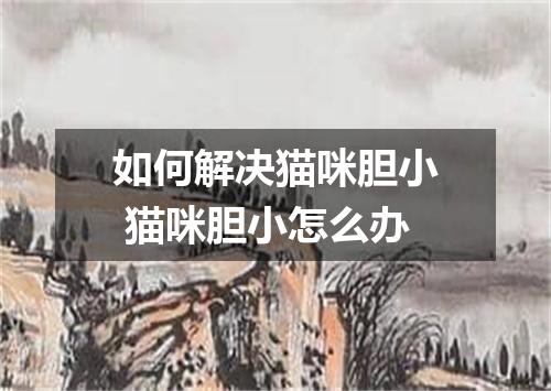 如何解决猫咪胆小 猫咪胆小怎么办