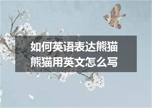 如何英语表达熊猫 熊猫用英文怎么写