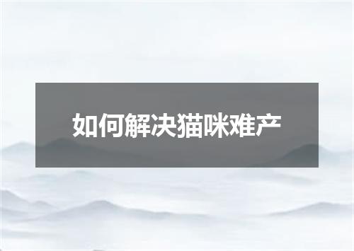 如何解决猫咪难产