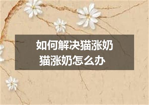 如何解决猫涨奶 猫涨奶怎么办