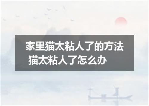 家里猫太粘人了的方法 猫太粘人了怎么办