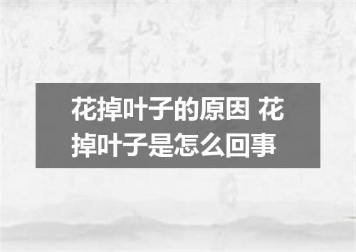 花掉叶子的原因 花掉叶子是怎么回事