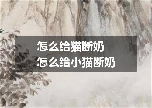 怎么给猫断奶 怎么给小猫断奶