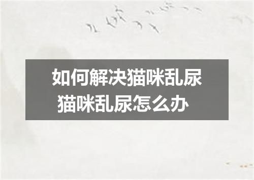如何解决猫咪乱尿 猫咪乱尿怎么办