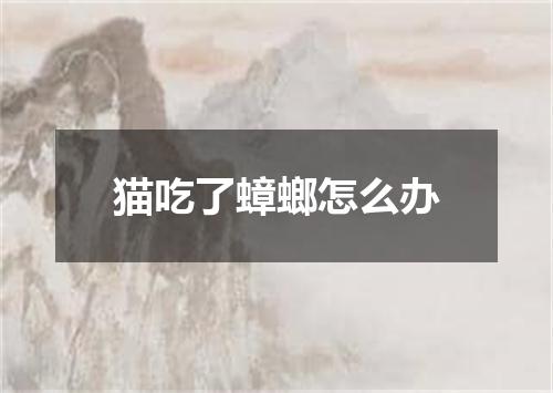 猫吃了蟑螂怎么办