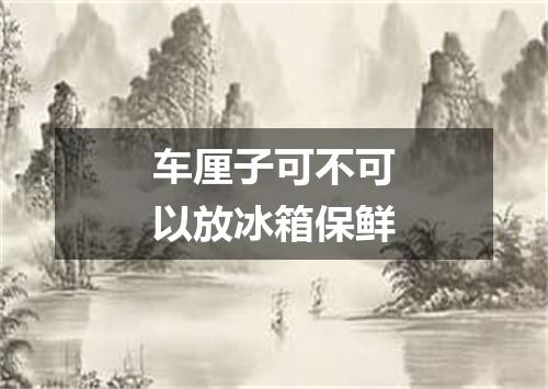 车厘子可不可以放冰箱保鲜