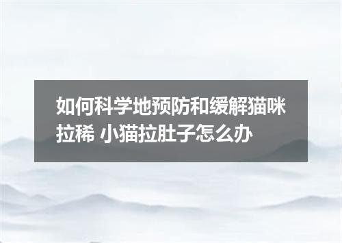 如何科学地预防和缓解猫咪拉稀 小猫拉肚子怎么办