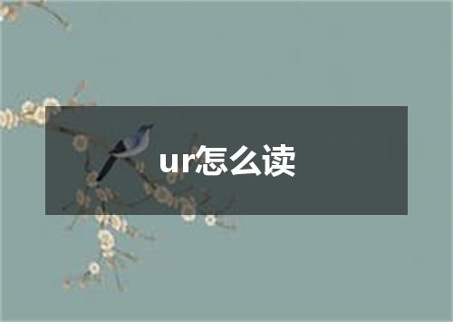 ur怎么读