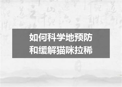 如何科学地预防和缓解猫咪拉稀