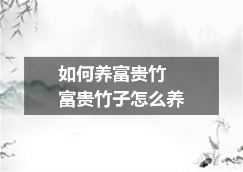 如何养富贵竹 富贵竹子怎么养