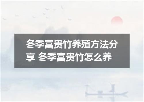 冬季富贵竹养殖方法分享 冬季富贵竹怎么养