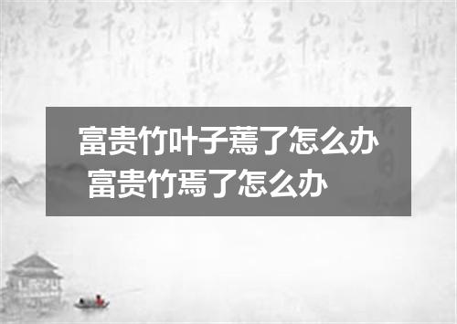 富贵竹叶子蔫了怎么办 富贵竹焉了怎么办