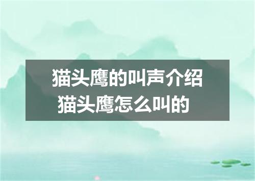 猫头鹰的叫声介绍 猫头鹰怎么叫的