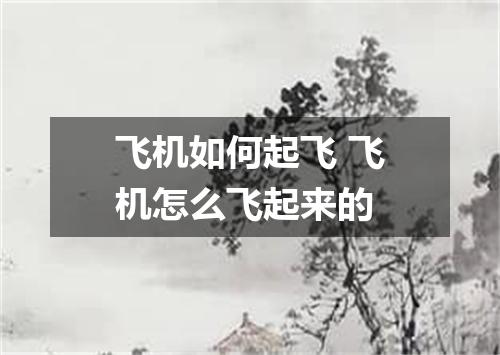 飞机如何起飞 飞机怎么飞起来的