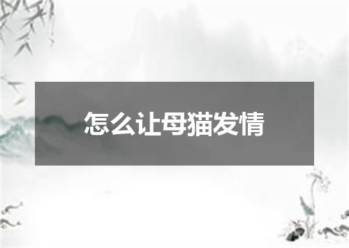 怎么让母猫发情