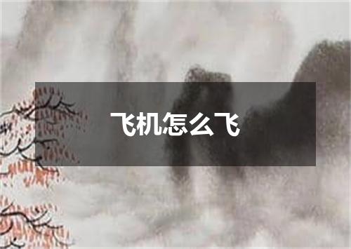 飞机怎么飞