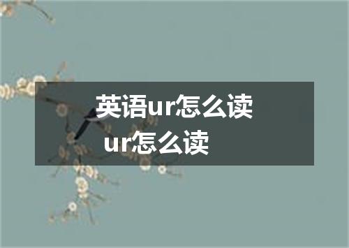 英语ur怎么读 ur怎么读
