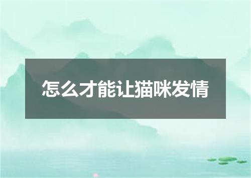 怎么才能让猫咪发情