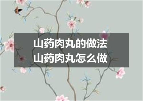 山药肉丸的做法 山药肉丸怎么做