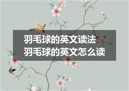 羽毛球的英文读法 羽毛球的英文怎么读