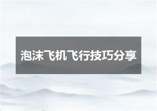 泡沫飞机飞行技巧分享