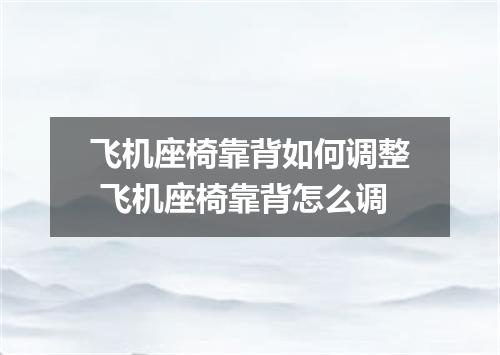 飞机座椅靠背如何调整 飞机座椅靠背怎么调
