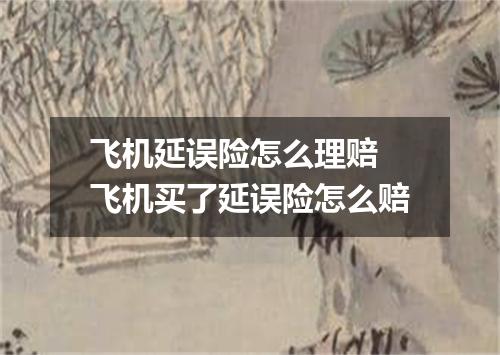 飞机延误险怎么理赔 飞机买了延误险怎么赔