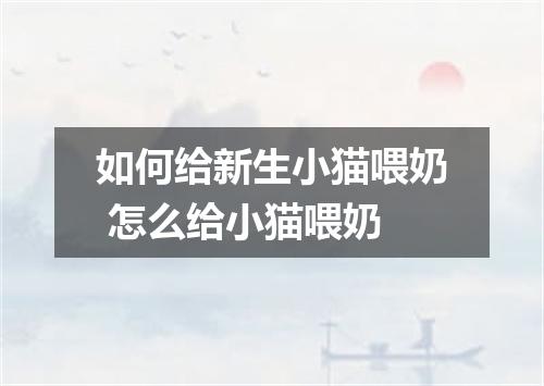 如何给新生小猫喂奶 怎么给小猫喂奶