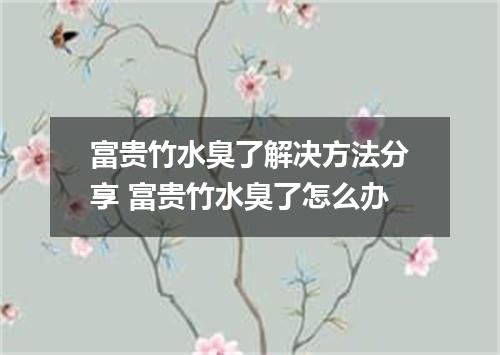 富贵竹水臭了解决方法分享 富贵竹水臭了怎么办