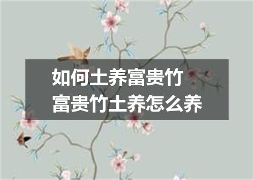 如何土养富贵竹 富贵竹土养怎么养