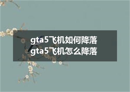 gta5飞机如何降落 gta5飞机怎么降落