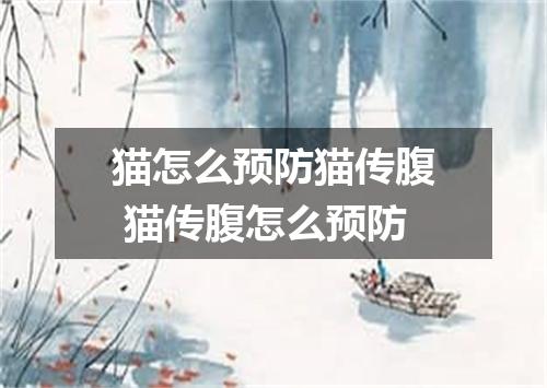 猫怎么预防猫传腹 猫传腹怎么预防
