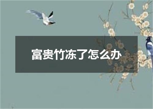 富贵竹冻了怎么办