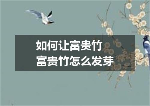 如何让富贵竹 富贵竹怎么发芽