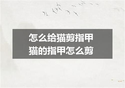 怎么给猫剪指甲 猫的指甲怎么剪