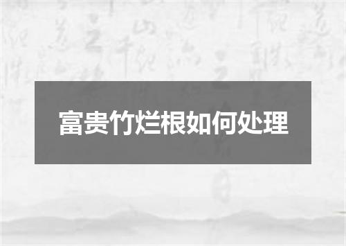 富贵竹烂根如何处理