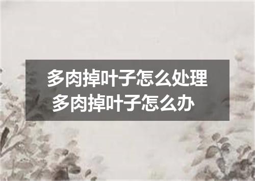 多肉掉叶子怎么处理 多肉掉叶子怎么办