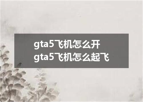 gta5飞机怎么开 gta5飞机怎么起飞