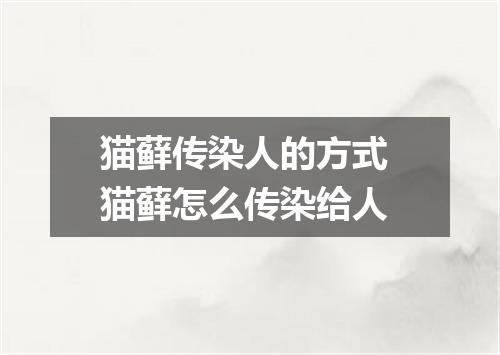 猫藓传染人的方式 猫藓怎么传染给人