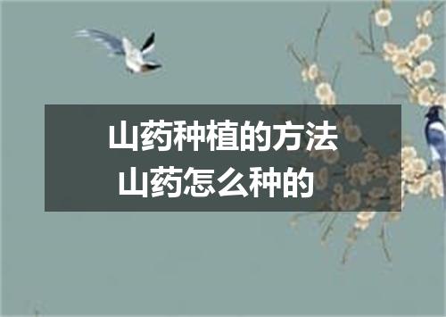 山药种植的方法 山药怎么种的