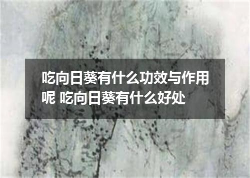 吃向日葵有什么功效与作用呢 吃向日葵有什么好处